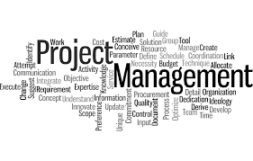 Project Management Consultancy